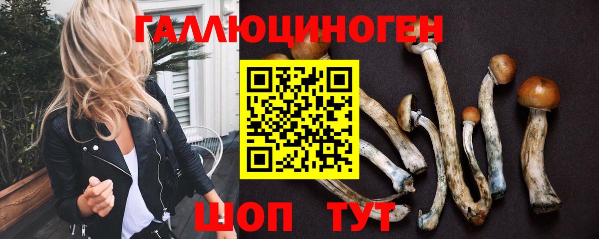 Галлюциногенные грибы Psilocybe  Вход с VPN  Камень-на-Оби 