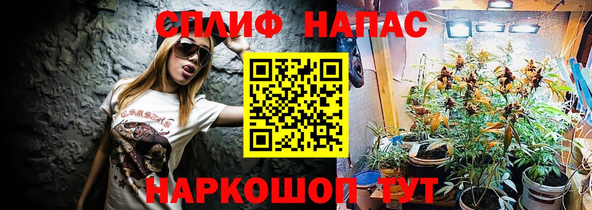 Камень-на-Оби  Конопля планчик  Канабис Ganja  Каннабис план  Вход с VPN 